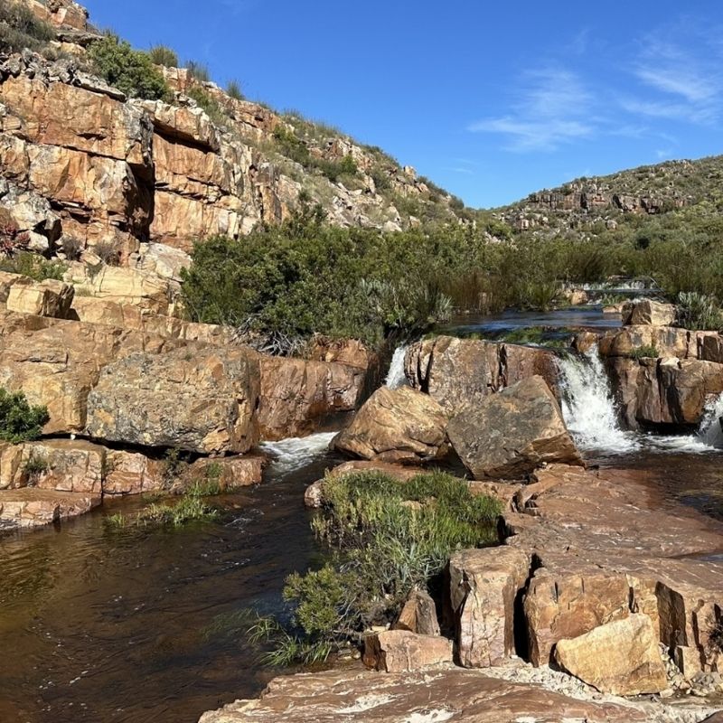 Spend a Day Swimming at Maalgat or Rimpool